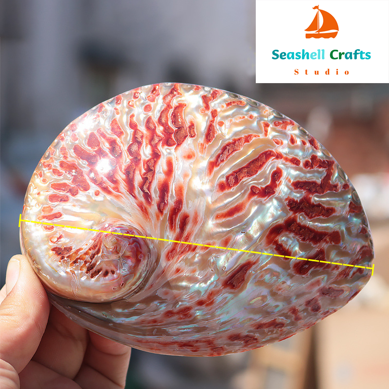 Home Decoration Red Pattern Ab - Marine Aquarium Decorations 리뷰 및 가격
