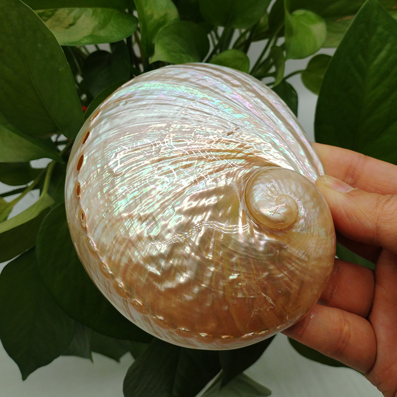 Home Decoration Red Pattern Ab - Marine Aquarium Decorations 리뷰 및 가격