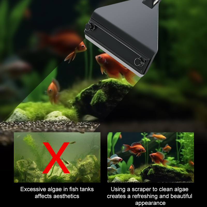 Aquarium Algae Remover Aluminu - Marine Aquarium Glass Scraper 리뷰 및 가격