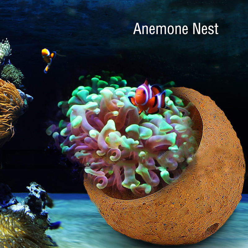 Anemone Nest Prevent Running A - Marine Aquarium Live Sand 리뷰 및 가격