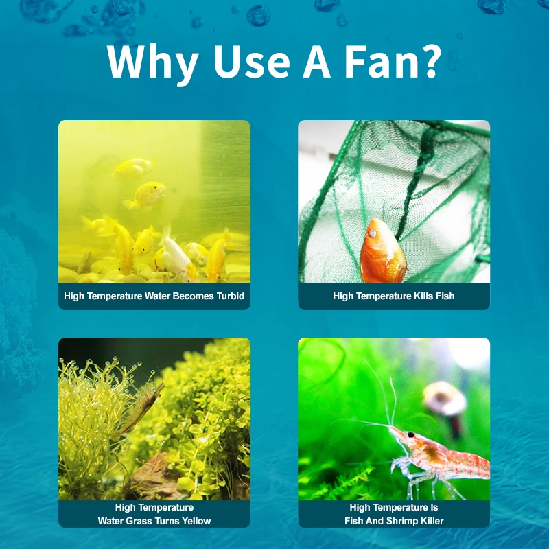 Jebao Jecod ACF Series Aquariu - Marine Aquarium Uk 리뷰 및 가격