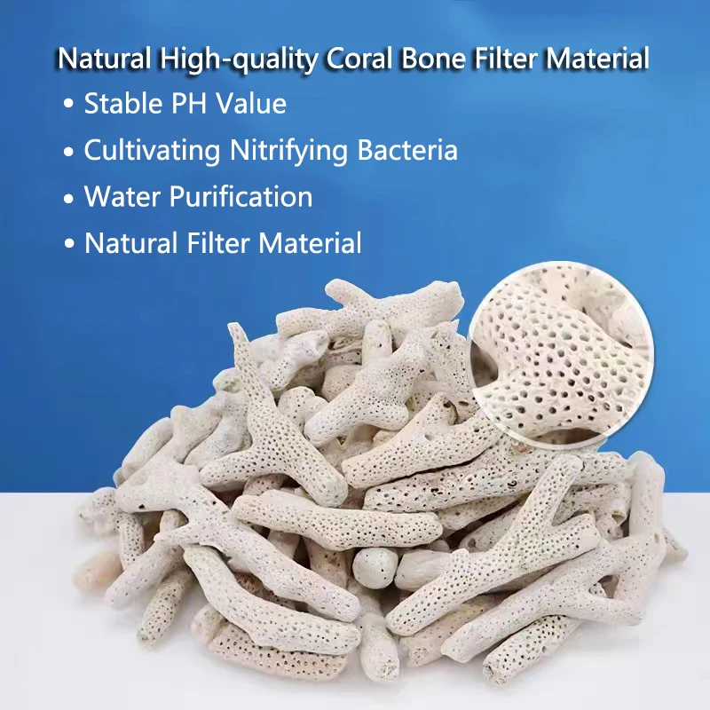 High Quality Natural Reef Cora - Marine Aquarium Live Sand 리뷰 및 가격