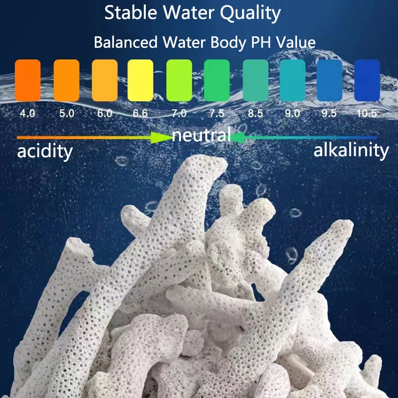 High Quality Natural Reef Cora - Marine Aquarium Live Sand 리뷰 및 가격