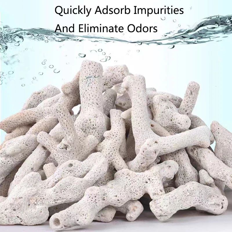 High Quality Natural Reef Cora - Marine Aquarium Live Sand 리뷰 및 가격