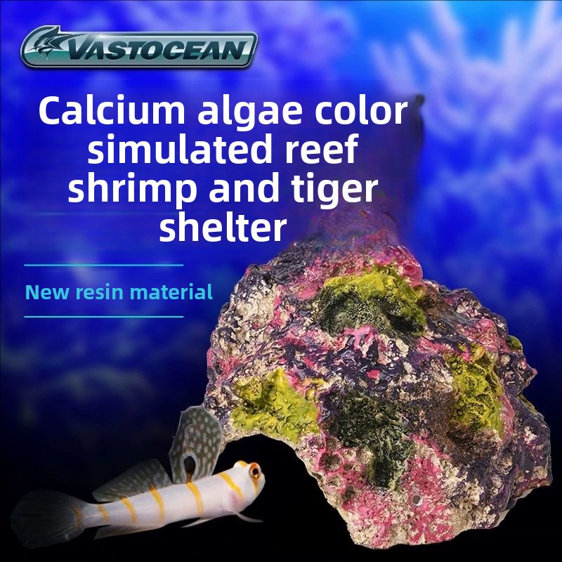 VASTOCEAN Saltwater Aquarium C - Marine Aquarium Hermit Crab 리뷰 및 가격