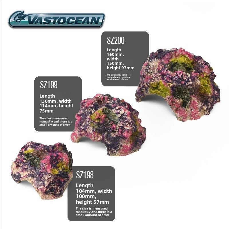 VASTOCEAN Saltwater Aquarium C - Marine Aquarium Hermit Crab 리뷰 및 가격