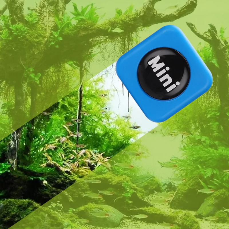 Aquarium Magnetic Brush Glass  - Marine Aquarium Glass Scraper 리뷰 및 가격