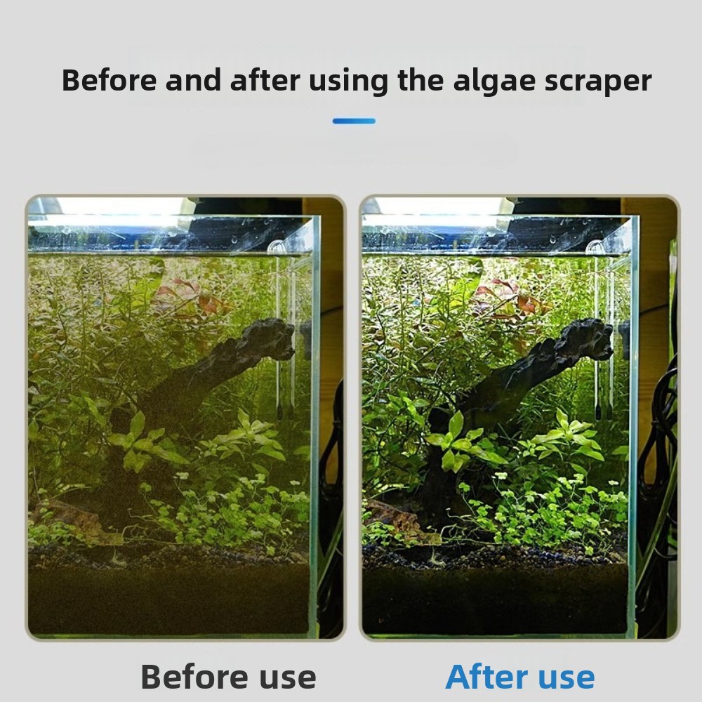Dual-use Aquarium Algae Scrape - Marine Aquarium Glass Scraper 리뷰 및 가격