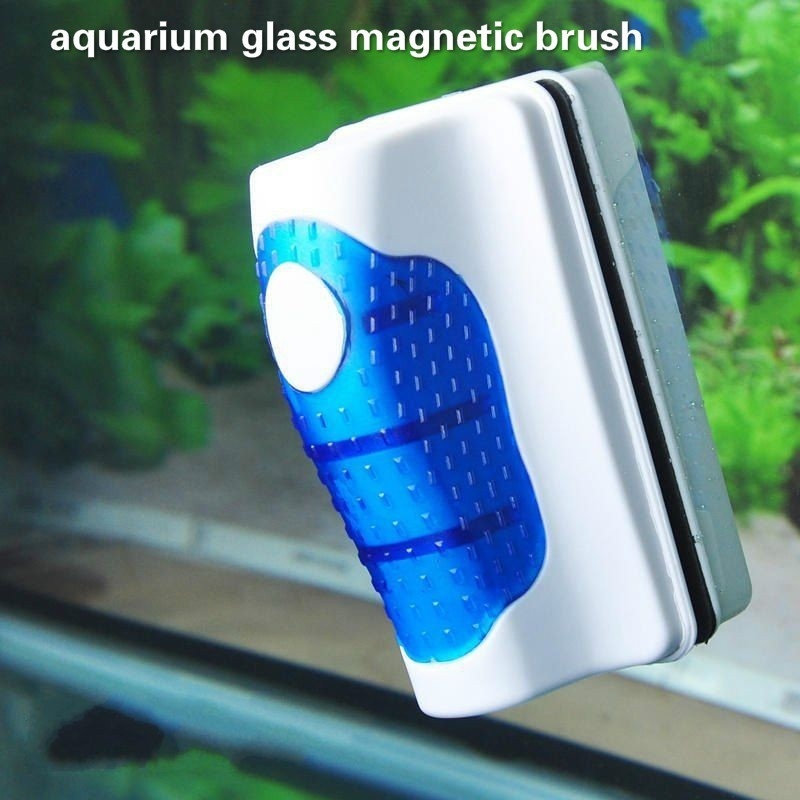 Fish Tank Glass Scraper Cleane - Marine Aquarium Glass Scraper 리뷰 및 가격