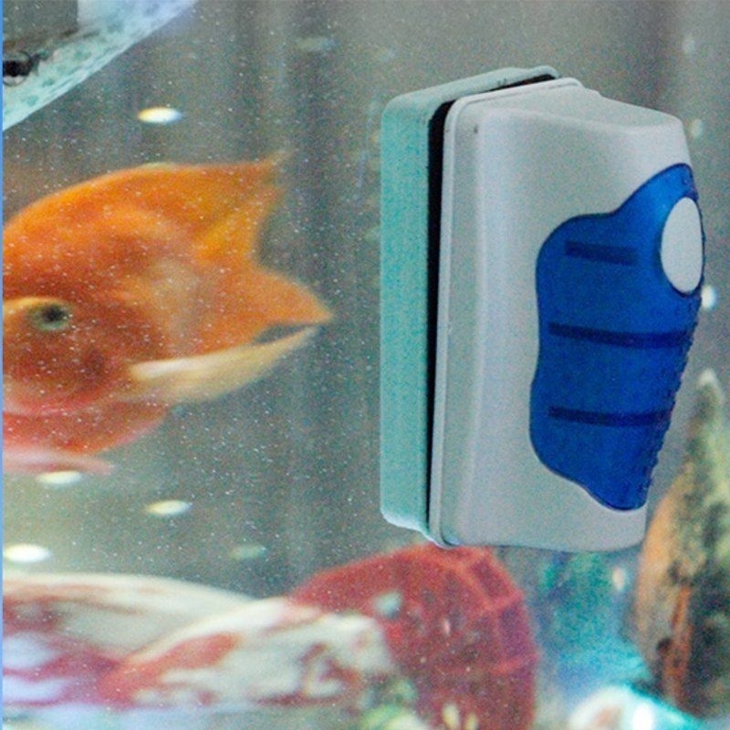 Fish Tank Glass Scraper Cleane - Marine Aquarium Glass Scraper 리뷰 및 가격