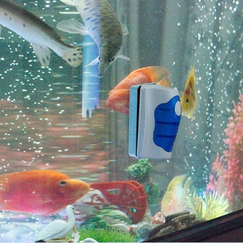Fish Tank Glass Scraper Cleane - Marine Aquarium Glass Scraper 리뷰 및 가격