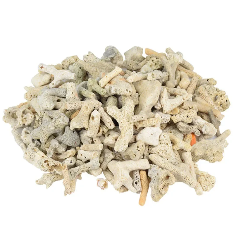 100g 250g 500g Aquarium Filter - Marine Aquarium Live Sand 리뷰 및 가격