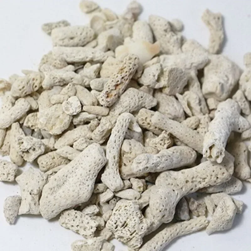 100g 250g 500g Aquarium Filter - Marine Aquarium Live Sand 리뷰 및 가격