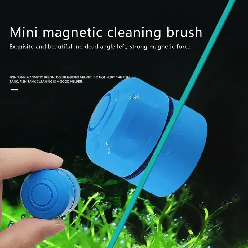 Mini Scrubber Tool Fish Tank G - Marine Aquarium Glass Scraper 리뷰 및 가격