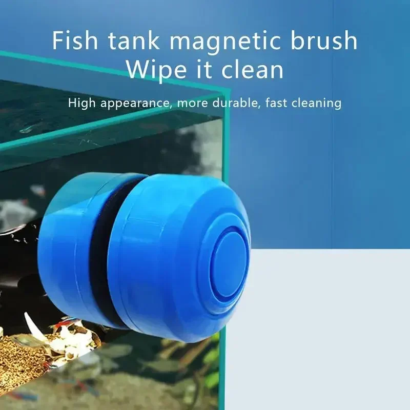Mini Scrubber Tool Fish Tank G - Marine Aquarium Glass Scraper 리뷰 및 가격